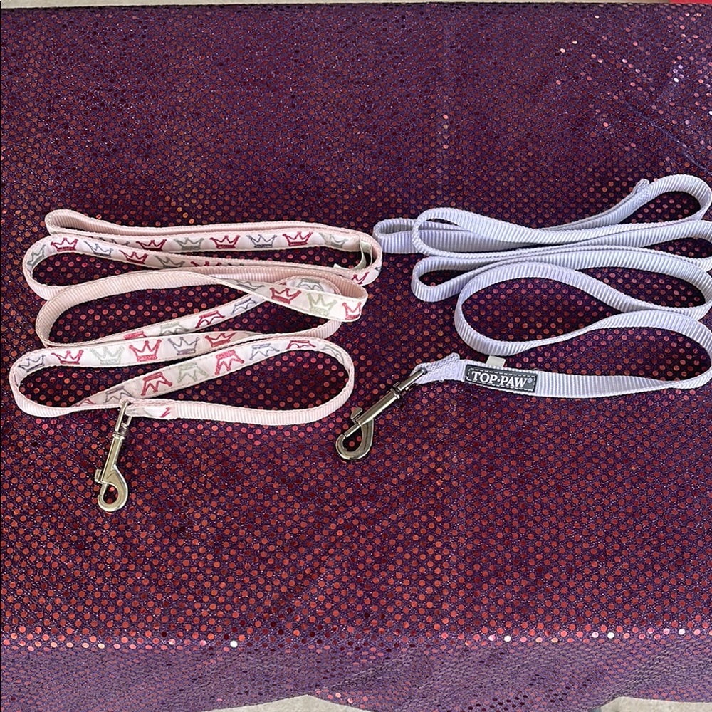 Top Paw Dog Leash Set - Pink and Purple